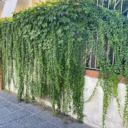 Ammore Ammare Apartment Isquia Exterior foto